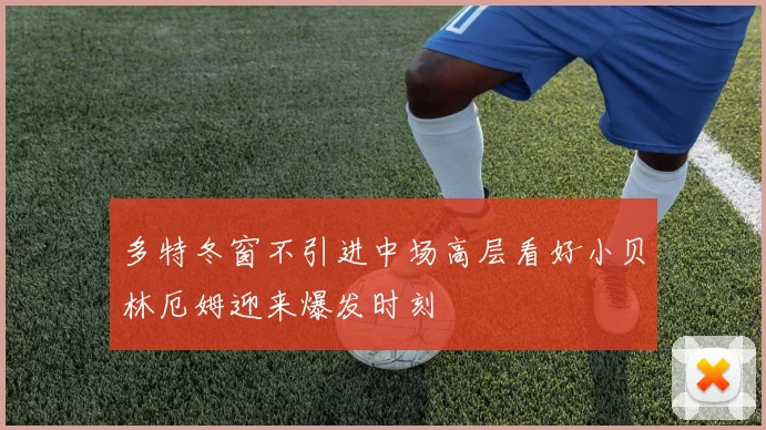 多特冬窗不引进中场高层看好小贝林厄姆迎来爆发时刻