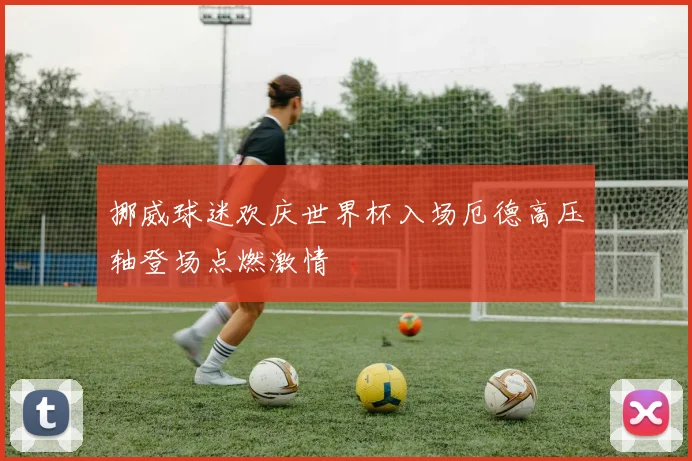 挪威球迷欢庆世界杯入场厄德高压轴登场点燃激情